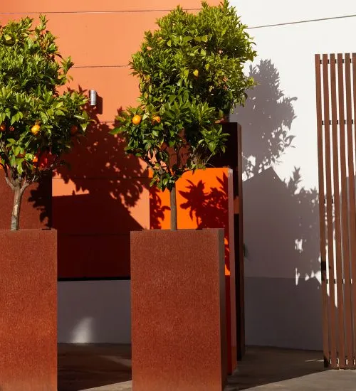 entrance carré