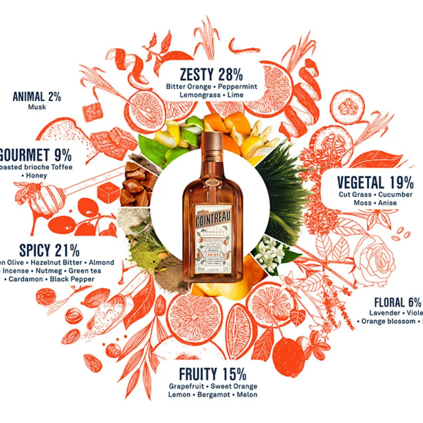 Discover the extraordinary Cointreau aroma wheel